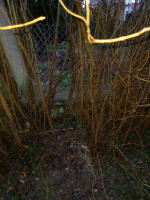 20250102_160633_copy_1500x2000.jpg (852.63 KiB) 7511 mal betrachtet Und weg