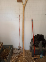 20250103_154855_copy_1500x2000.jpg (381.09 KiB) 7343 mal betrachtet Nackig gemacht