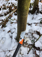 Angriff mit der Japansäge