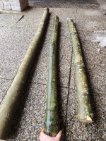 Zweiter von der Seite