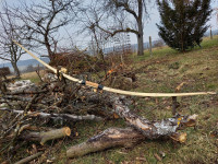 20250210_141449_copy_2000x1500.jpg (1.55 MiB) 6399 mal betrachtet Da liegt der Kerle