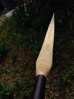 20250321_150751_copy_1500x2000.jpg (497.25 KiB) 7615 mal betrachtet Oberer WA