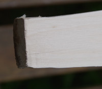 Imgp5260.jpg