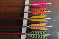 5.5.) Pfeilbau und Befiederung, Flu-Flu-Pfeile (21).jpg