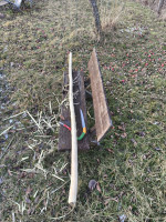 Rückenbereich schon mal grob entrindet. lass ihn jetzt mal ein paar Tage draußen liegen