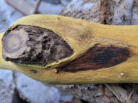 20260107_152340 (Copy).jpg