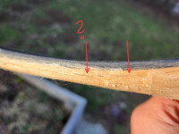 20260226_161409.jpeg (220.76 KiB) 1270 mal betrachtet Bei dem mit dem Fragezeichen bin ich nicht sicher ob nur der Sehnenbelag nen Riss hat.