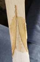20260622_181821.jpg