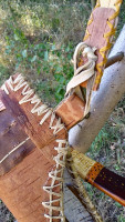 20260711_101535_HDR.jpg