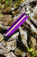 Screenshot_20260718-140138_Gallery.jpg