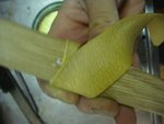 DSC03840.jpg