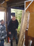 Holz wird begutachtet