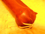 DSCN0494.jpg