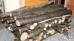 Kopie von ulme 012.jpg