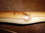 DSCI0289.JPG