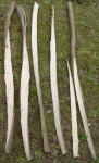 DSC00869.JPG