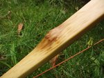 ein Hauch von Charakter in sonst recht ruhigem Holz