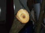 BILD0144.jpg