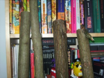 BILD0151.jpg