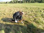DSCN9453.JPG (215.71 KiB) 5009 mal betrachtet Eine Steinspitzenfressende Wiese...<br />Da half auch kein buddeln mehr, die Spitze iss wech...<br />Da werden sich mit ein bißchen Glück ein paar Archäologen<br />im nächsten Jahrtausend schwer wundern... ;-D