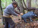 Auch ein blinder Hühnerstall trifft mal eine Sau..., oder so ähnlich