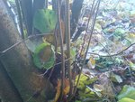 DSC04945.JPG