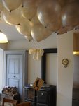 DSC05947.jpg