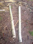 DSC05105.JPG