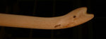 P1100761nock.ob..jpg (38.69 KiB) 15032 mal betrachtet Ast-Nock oben