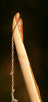 bloody mary fliedernock.sonne.jpg (99.92 KiB) 15032 mal betrachtet Flieder- Overlay untere Nock