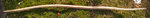 bloody mary bauch.jpg (106.02 KiB) 15032 mal betrachtet Bauch