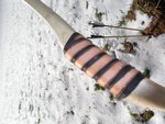 Esche_Sapling007.jpg (175.5 KiB) 15015 mal betrachtet Wicklung
