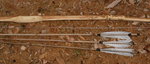 Mr.Pipe.griff.JPG (156.49 KiB) 14816 mal betrachtet Griff und Knubbels im oberen Wurfarm, geschnitzte Oberfläche