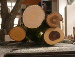 4x holz.JPG
