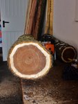 Holzzeit 2013-02-10 002.JPG (257.21 KiB) 4484 mal betrachtet Schönes Holz - mal sehen was die Dichte sagt