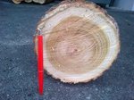 IMG-20130402-00063.jpg
