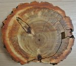 DSC_8253_s.JPG (292.13 KiB) 2760 mal betrachtet Schnitt