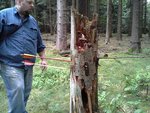 20130630_153851.jpg (167.29 KiB) 7312 mal betrachtet Bowa auf Pfeilsuche...
