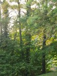 DSCN4043.jpg (234.69 KiB) 3099 mal betrachtet Bergahörner