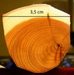 BILD5844.JPG (262.96 KiB) 6126 mal betrachtet Reststück des verwendeten Staves