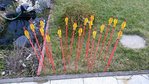 20140222_165242kl.jpg (145.42 KiB) 4167 mal betrachtet sprießende Pfeile