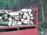 Holz auf Robur.jpg (287.01 KiB) 14840 mal betrachtet Sieht auf den Fotos immer voll wenig aus....;)