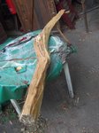 DSCF6475.JPG