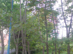 DSC00626.JPG