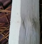 2014-10-10 22.15.40.jpg