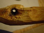 DSC04488.JPG