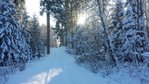 20150101_142837.jpg