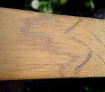 Schatten: Frühholz dunkler als Spätholz!