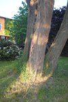 DSC_0093.JPG