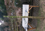 eibe.png (1.58 MiB) 2908 mal betrachtet Der Stamm